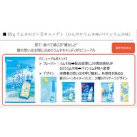 ラムネのビー玉キャンディ 65g 1セット（1袋×6） カンロ 飴 キャンディ