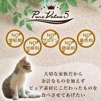 ねこぴゅーれ 無添加ピュア かつお 国産（13g×4本）10袋 キャットフード 猫用 おやつ
