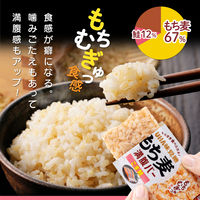 もち麦満腹バーごま鮭 1セット（1袋×5） UHA味覚糖