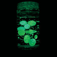 クツワ ネオンリウム・宇宙 PT210A 1個