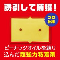 ネズミホイホイ チューバイチュー （折り目付き） 1セット（1個×2） アース製薬