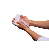 ペーパータオル クリネックス ハンドタオル デ グランデ 100枚入 1パック 日本製紙クレシア