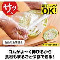 錦尚金 NISHIKIN 非日常シリーズ 抗菌・さっと被せる食品用カバー20枚入 4582559949000 1セット(30g×10点)（直送品）