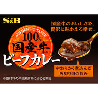 エスビー食品 国産牛100％ビーフカレー 中辛 170g 1セット（1個×2）レトルト レンジ対応