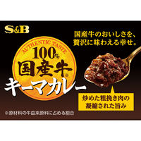 エスビー食品 国産牛100％キーマカレー 中辛 150g 1セット（1個×3）レトルト レンジ対応