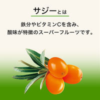 伊藤園 アップル・マンゴー＆サジーミックス 200ml 1セット（48本）