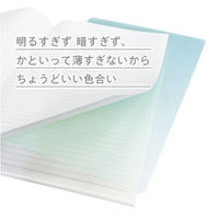 共栄プラスチック ニュアンスカラー下敷 A4 ユーカリ NS-A4-02 1枚