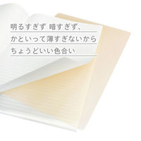 共栄プラスチック ニュアンスカラー下敷 B5 ミルクティー NS-B5-04 1枚