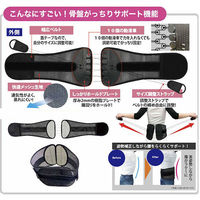 グローバル・ジャパン 骨盤がっちりベルト 男女兼用 M-Lサイズ ブラック 1枚（直送品）