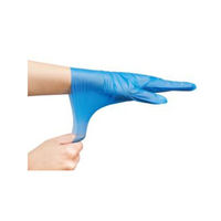 エブノ エブケアシルキーグローブ 使い捨て手袋 ブルー 箱入 LLサイズ No.3063 1箱(100枚)