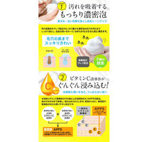 StayFree アイサム VC-100 クリアブライト 酵素洗顔フォーム 150g FVS-TU-158 1本(150g入)（直送品）