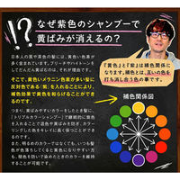 ハッピーバース トリプルレインボー カラーシャンプー パープル 300mL 4582563811102 1本(300mL入)（直送品）