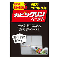 イカリ消毒 イカリ カビックリンペースト 120g 4906015051135 1箱(120g入)（直送品）