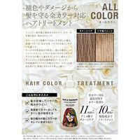 ハッピーバース トリプルレインボー カラートリートメント オールカラー対応 300mL 4582563811157 1本(300mL入)（直送品）