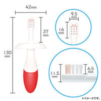 オールウェイズ デンタるん ふっくらグリップ 6ヵ月から グリーン+イエロー 2本入 4560245820444 1個(2本入)（直送品）