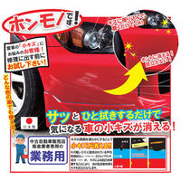 三喜工業 【業務用】輝きが戻る キズ隠しQ10 250g 4560162565862 1箱(250g入)（直送品）