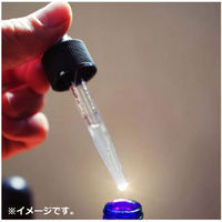 ツーウェイワールド 十美LAB ハッカ油 30mL 4540811802708 1本(30mL入)（直送品）