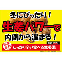 大丸本舗 生姜糖タブレット 3.5g×15粒入 4901922713336 1袋(3.5g×15粒入)（直送品）