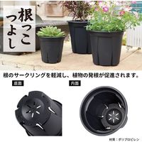 【園芸用品】アップルウェアー 根っこつよし 6号 ブラック 1個