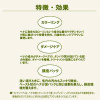 テンスター ファインヘナ ブラウン 80g（40g×2パック） 1個 三宝 ヘナ 白髪染め