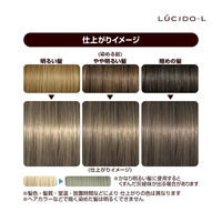 ルシードエル ミルクジャムヘアカラー＃ヘーゼルナッツ レディース用 髪染め 1剤40g・2剤80ml・TR5g マンダム（医薬部外品）