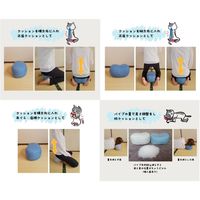 ソフト 正座クッション ハリネズミ 1個 FUJIEI エクサイズ カバー付き まくら 足置き 姿勢矯正 背筋が伸びる 動物柄 かわいい