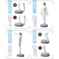 Gym terior トランポリンクッション 青い鳥 1個 FUJIEI エクササイズ カバー付 運動不足解消 体幹トレーニング 動物柄 かわいい