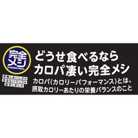 日清食品 完全メシ 韓国風旨辛メシ ユッケジャン 4902105987315 1セット(1個×3)