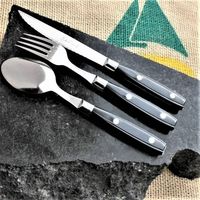 ライヨール ビストロカトラリー コレクション セット ノアール 4310069 1箱（直送品）