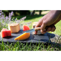 ユニバーサルトレーディング Terroir BD-0152 1本（直送品）