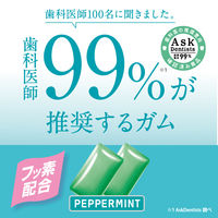 キシリトールガム+フッ素＜ペパーミント＞スリムボトル 1セット（1個×6） ロッテ