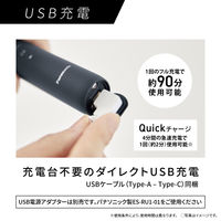 パナソニック 音波振動ハブラシ ドルツ EW-DA48-A 1台