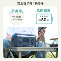 ポータブル電源 205Wh リン酸鉄 バッテリー 急速充電 PD 最大65W ブラック DE-PS200PEBK エレコム 1個（直送品）