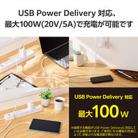 タイプCケーブル （USB-C to C） 2m PD 100W シリコン 白 MPA-CCECSS20WH エレコム 1個