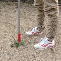 【園芸用品】高芝ギムネ 腰らく草抜きボーイ 強靭設計 M-21 1個