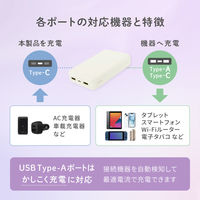 オウルテック Type-C 入出力対応 10000mAh 小型軽量モバイルバッテリー OWL-LPB10012-SAG 1個