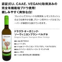 ワインキュレーション厳選 ヨーロッパスパークリングワイン・白ワイン・赤ワイン　厳選6本セット　飲み比べ