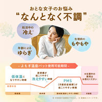 【アスクル先行発売】 お試しアソートセット ウィズフェム よもぎ温座パット オーガニック HEAT・WARM 各3回分 1箱 グラフィコ 限定