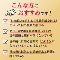 マイティア ピントケア40メディカルマイルド 15ml 第一三共ヘルスケア 目の疲れ、目のかゆみ、目のかすみ 目薬【第3類医薬品】