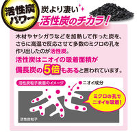 ノンスメル ぱくぱく炭 冷蔵庫用 脱臭剤 置き型 1年間脱臭 冷蔵食品のニオイに 1個 白元アース