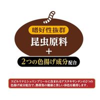 ワイルドフレークプロバイオ 100g 1個 ジェックス 熱帯魚