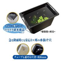 メダカ元気 メダカのための飼育箱 黒350 1個 ジェックス 水槽