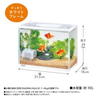 金魚元気 ぶくぶく 水キレイセット S 1台 ジェックス