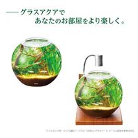 グラスアクア スフィア 丸形 水槽 1台 ジェックス