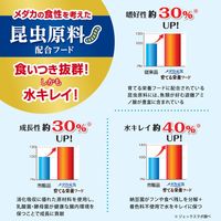 メダカ元気 育てる栄養フード 30g 1個 ジェックス