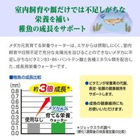 メダカ元気 育てる栄養ウォーター 国産 2.2L 1個 ジェックス