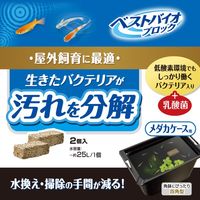 ベストバイオブロック メダカケース用 2個入 3個 ジェックス