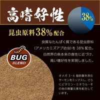 ワイルドバイト パウダー メダカ エサ 餌 えさ 45g 1セット（1個×3）ジェックス