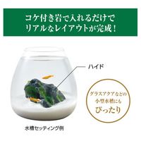 癒し水景 モスロック Hide 1個 ジェックス 水槽