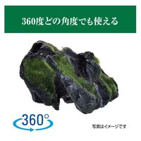 癒し水景 モスロック Hide 1セット（1個×3）ジェックス 水槽